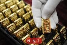 أسعار سبائك الذهب اليوم الثلاثاء 20 يناير 2026 تتألق بعد الارتفاع الكبير في سوق المعادن الثمينة