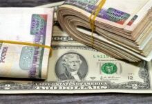 اسعار صرف الدولار في البنك المركزي والبنوك المصرية اخر تحديثات السوق المالية والتقلبات اليومية