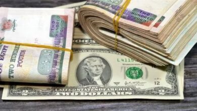 اسعار صرف الدولار في البنك المركزي والبنوك المصرية اخر تحديثات السوق المالية والتقلبات اليومية