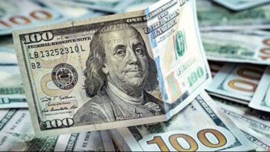 سعر الدولار أمام الجنيه المصري في البنوك المصرية اليوم واستقرار العملة الأمريكية مقابل الجنيه في الأسواق المحلية