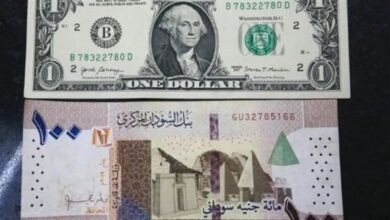 سعر الدولار في بنك السودان المركزي اليوم يتراجع أو يواصل الارتفاع وفقا للتقارير والأوضاع الاقتصادية المحلية