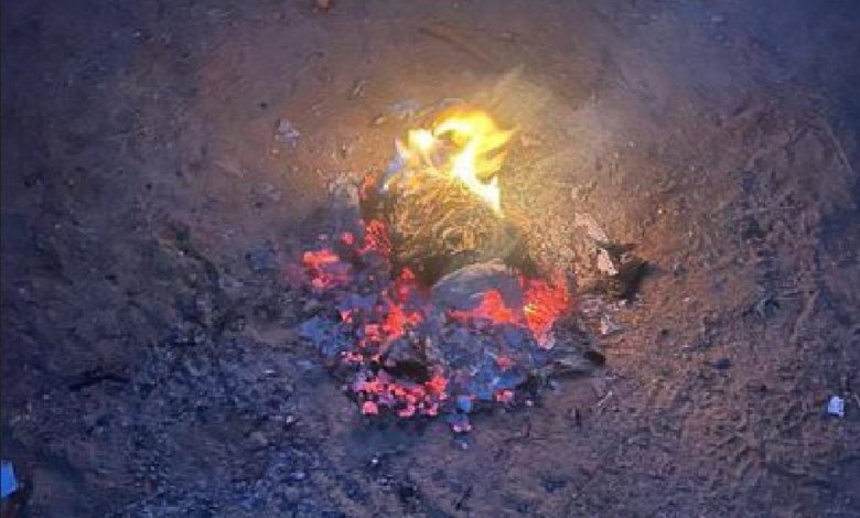 عاجل السعودية الأمن البيئي يضبط مواطنا لإشعاله النار في غير الأماكن المخصصة في عسير