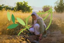 عاجل السعودية البرنامج الوطني للتشجير يناقش مع الفاو تعزيز مراقبة النظام البيئي والتحقق الحقلي لدعم أهداف السعودية الخضراء