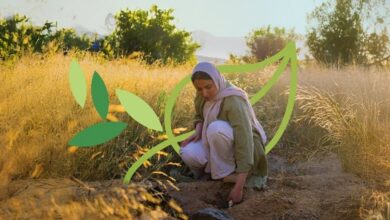 عاجل السعودية البرنامج الوطني للتشجير يناقش مع الفاو تعزيز مراقبة النظام البيئي والتحقق الحقلي لدعم أهداف السعودية الخضراء