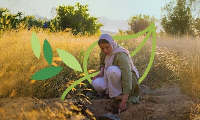 عاجل السعودية البرنامج الوطني للتشجير يناقش مع الفاو تعزيز مراقبة النظام البيئي والتحقق الحقلي لدعم أهداف السعودية الخضراء