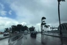 عاجل السعودية درجات الحرارة تنخفض تحت الصفر وتوقعات بانتشار الضباب في أجزاء واسعة من المملكة في يوم الأربعاء 2-8-1447