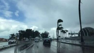 عاجل السعودية درجات الحرارة تنخفض تحت الصفر وتوقعات بانتشار الضباب في أجزاء واسعة من المملكة في يوم الأربعاء 2-8-1447