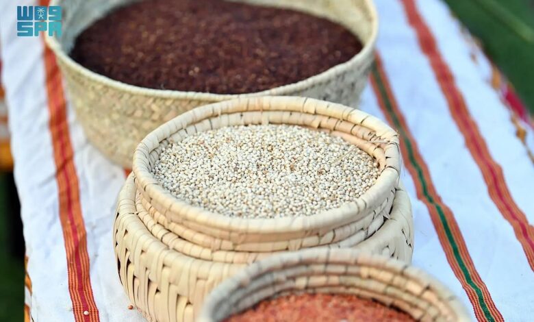 عاجل السعودية زراعة الدخن في عسير تعزز الاستدامة والأمن الغذائي كمحصول موسمي يعكس تنمية مستدامة ومبادرات زراعية حديثة