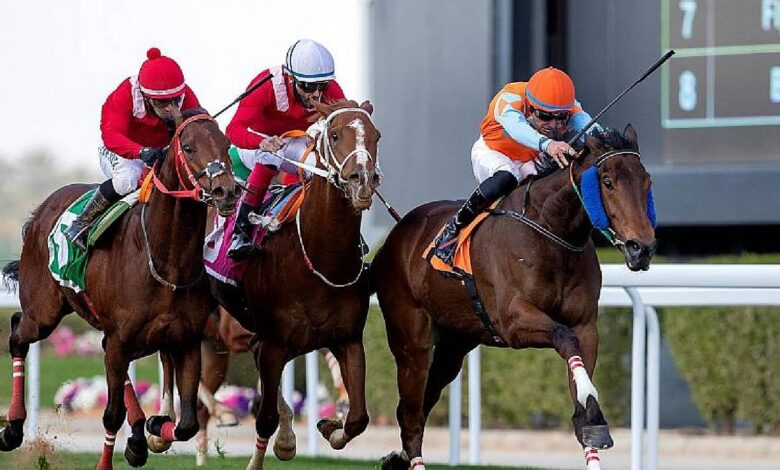 عاجل السعودية نادي سباقات الخيل يعلن أسماء المشاركين في تحدّي الخيّالة العالمي 2026 بحشد كبير من أفضل الفرسان عالميًا