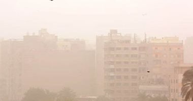 عاصفة ترابية تقتلع 6 أكتوبر والشيخ زايد.. شاهد الفيديو الطبيعي الذي يغير مشهد المدينة