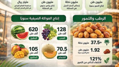إقبال واسع على فواكه الصيف والرطب يعزز السوق المحلية ويدعم الاقتصاد الزراعي