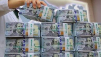 ارتفاع احتياطي النقد الأجنبي يعزز مكاسب الاقتصاد المصري ويعكس قوة الأداء المالي