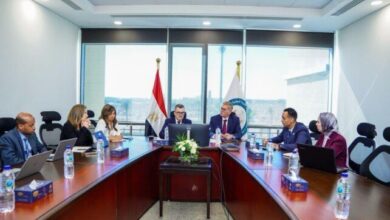 التخطيط والبترولي يناقشان خطة الطاقة 2026/2027 لتعزيز الإنتاج وخفض الاستيراد