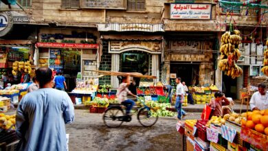 الجهاز المركزي للإحصاء يكشف عن مفاجآت أسعار يوليو.. ارتفاع كبير في الخضراوات وتراجع ملحوظ في أسعار اللحوم