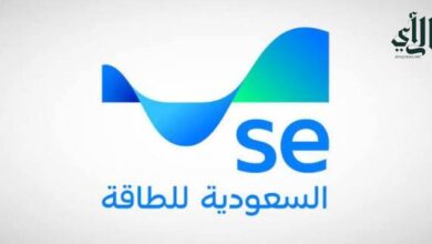 السعودية للطاقة تكشف عن أسباب انقطاع الكهرباء في طريب وتعتذر لعملائها المتأثرين