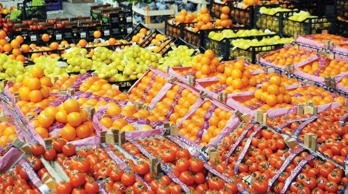 الصادرات الزراعية تواصل دعم الاقتصاد القومي بأكثر من 6.8 مليون طن منذ بداية العام