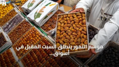 بدء موسم التمور في أسواق الربوة بالرياض السبت القادم