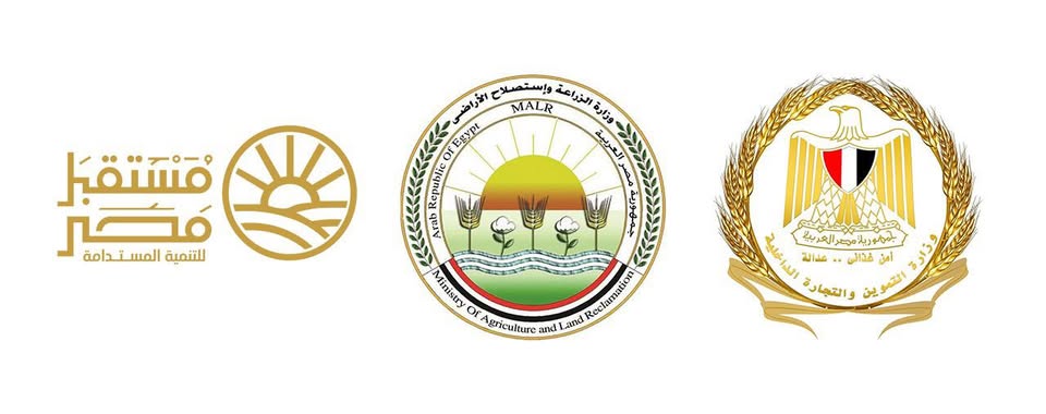 خفض سعر السكر الحر إلى 25 جنيهًا للكيلو بدءًا من الغد