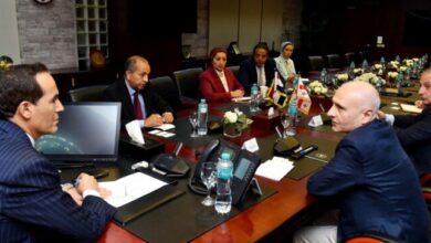 رئيس هيئة الاستثمار مصر تظل بوابة الشركات الجورجية إلى الأسواق الأفريقية
