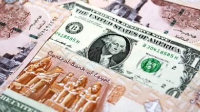 سعر الدولار أمام الجنيه في مصر اليوم وما يحدث في سوق الصرف