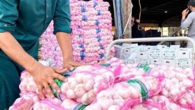شركات النقل السعودية تشكل شبكة إمداد متكاملة عبر الشاحنات والطيران وموانئ البحر الأحمر