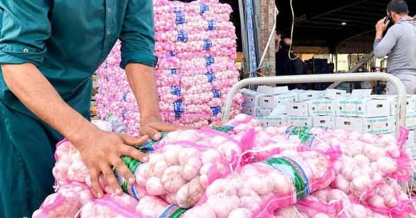 شركات النقل السعودية تشكل شبكة إمداد متكاملة عبر الشاحنات والطيران وموانئ البحر الأحمر