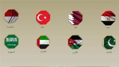 عاجل دول بينها مصر والسعودية والإمارات ترفض ضم الأراضي الفلسطينية وتهجير الشعب الفلسطيني