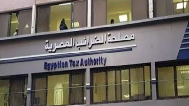 مصلحة الضرائب تكشف تفاصيل إخضاع نشاط صناعة المحتوى للضرائب وتطوير اللوائح ذات الصلة